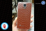 leather-sticker-Brown-snake-24
