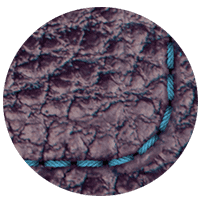 انگور شیراز